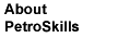 About PetroSkills